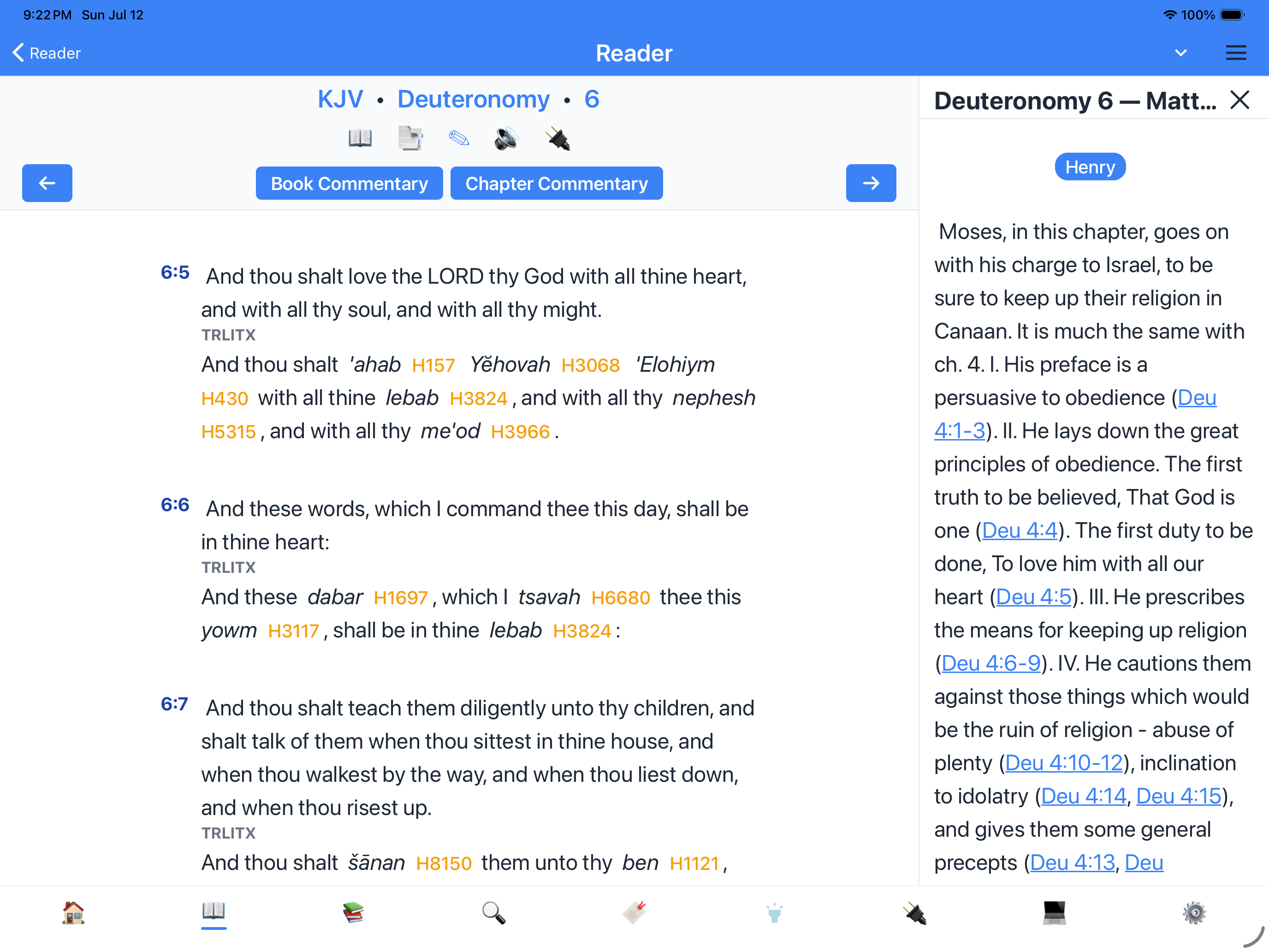 Chapter commentary on iPad