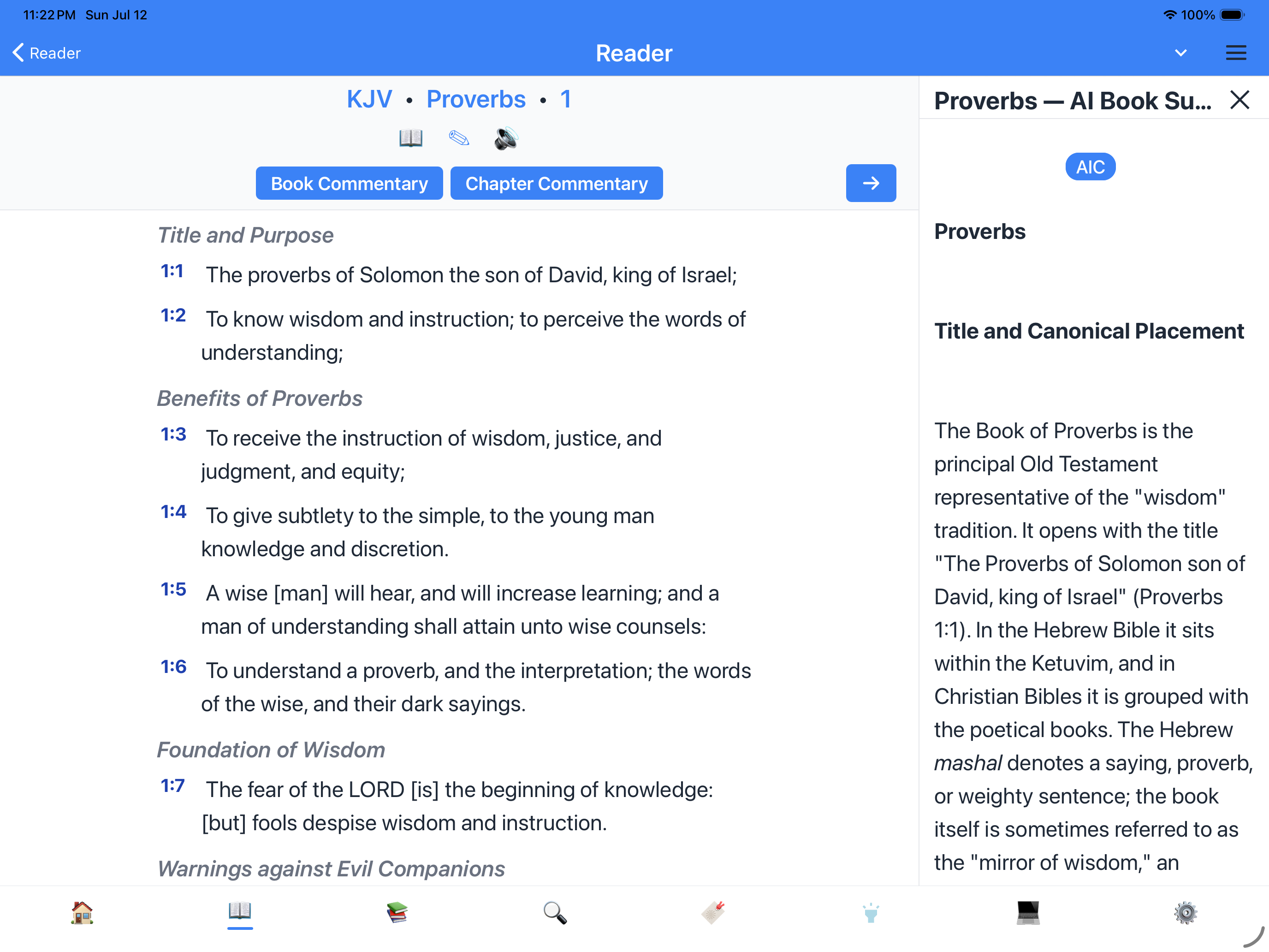 Book commentary on iPad